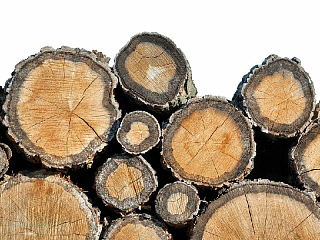 Лесопильно-деревообрабатывающий комбинат открылся во Владимирской области
