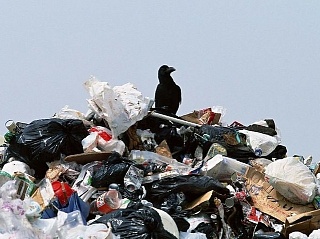 Инвесторы обещают вложить в переработку мусора в Крыму 2,5 млрд рублей